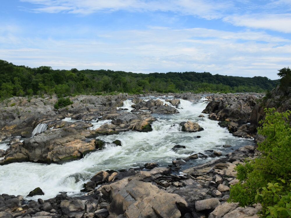 Potomac River and Shenandoah River tubing and whitewater rafting
